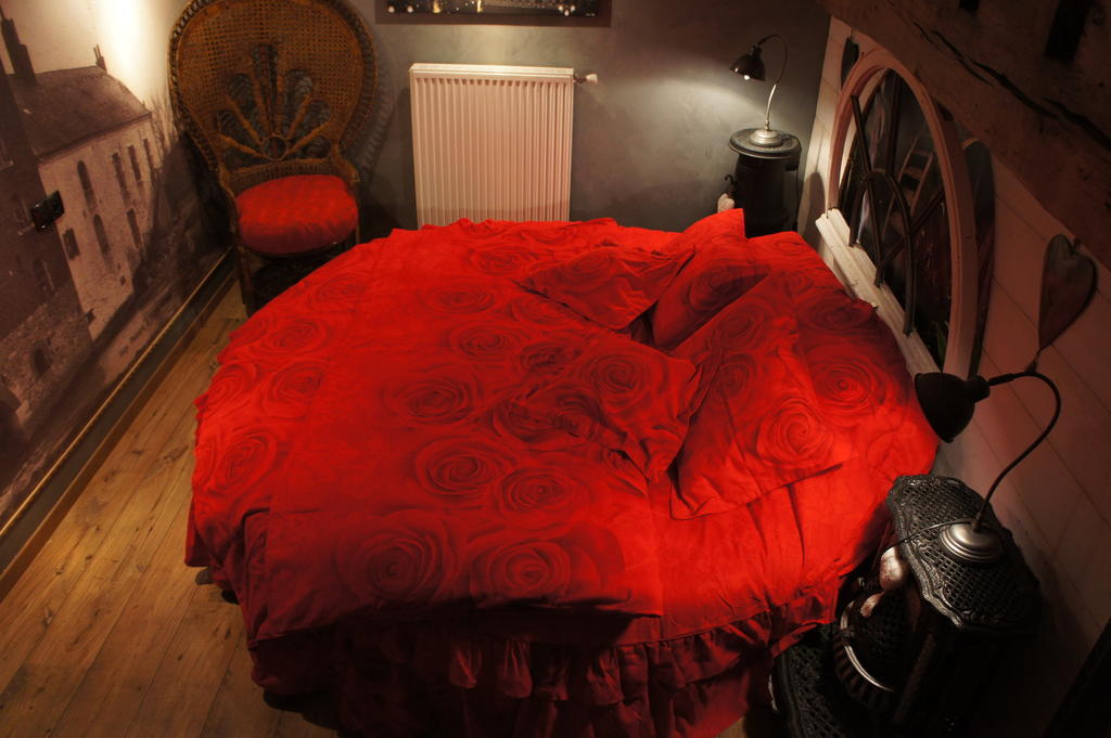 Ferrière-la-Petite Aux Logis De La Solre Bed & Breakfast 部屋 写真